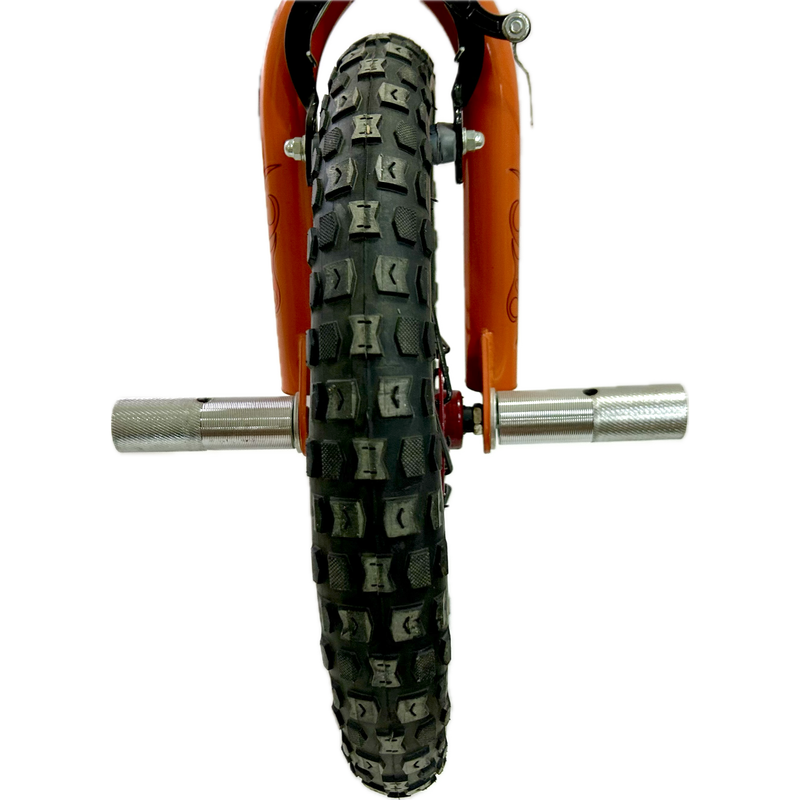 Toimsa SCHWINN Scorcher 16" Bicycle with with Front Steel Pegs