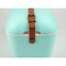 صندوق تبريد ايس بوكس بلاستيك ملون مع حزام جلد ٢٠ لتر بولاربوكس كلاسيك - اخضر / بني
