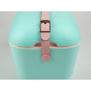 صندوق تبريد ايس بوكس بلاستيك ملون مع حزام جلد ٢٠ لتر بولاربوكس بوب - اخضر / وردي