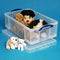 Really Useful Boxes® Plastic Storage Box 50 Liter