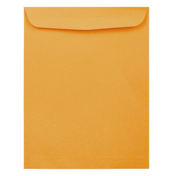 Jumbo Kraft Envelope