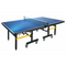 Lion Table Tennis