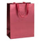 Stewo 23x13x30cm Metallic Medium Gift Bag - Pack of 1