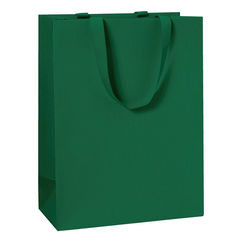 Stewo 23x13x30cm  Medium Gift Bag - Pack of 1