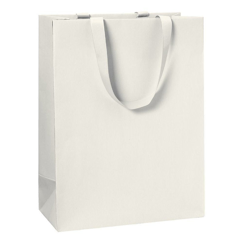 Stewo 23x13x30cm  Medium Gift Bag - Pack of 1
