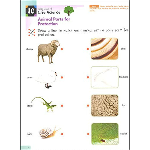 كتاب تعليمي للأطفال مع ملصقات كومون علوم  مرحلة التمهيدي باللغة الإنجليزية
