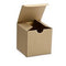 Brown Kraft Gift Box