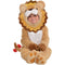 Amscan Halloween Costume Little Roar Lion