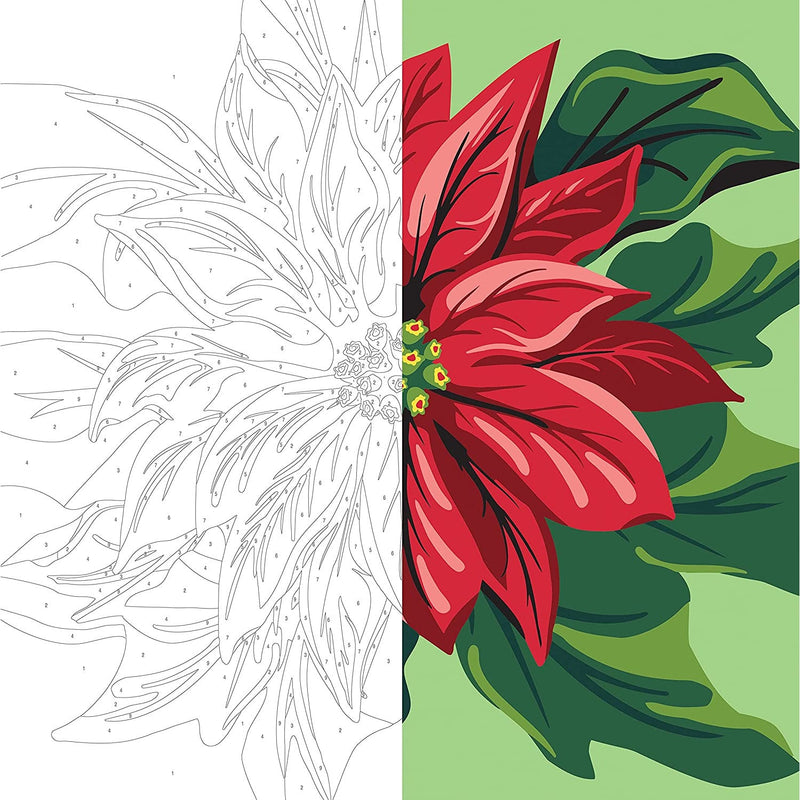 Plaid Let's Paint By Numbers Poinsettia on Printed Canvas 35x35 cm