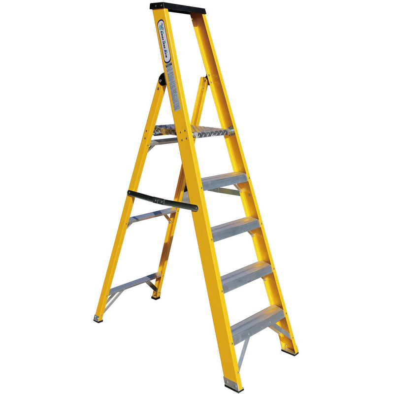 Professional Ladder with Platform