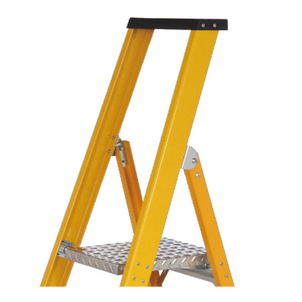Professional Ladder with Platform