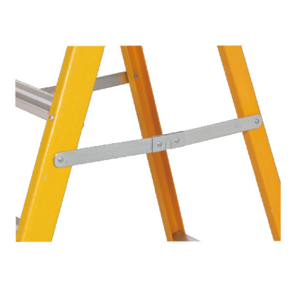 Professional Ladder with Platform