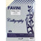 Favini Fine Paper Prisma Ivory A4 100g - 100 Sheets