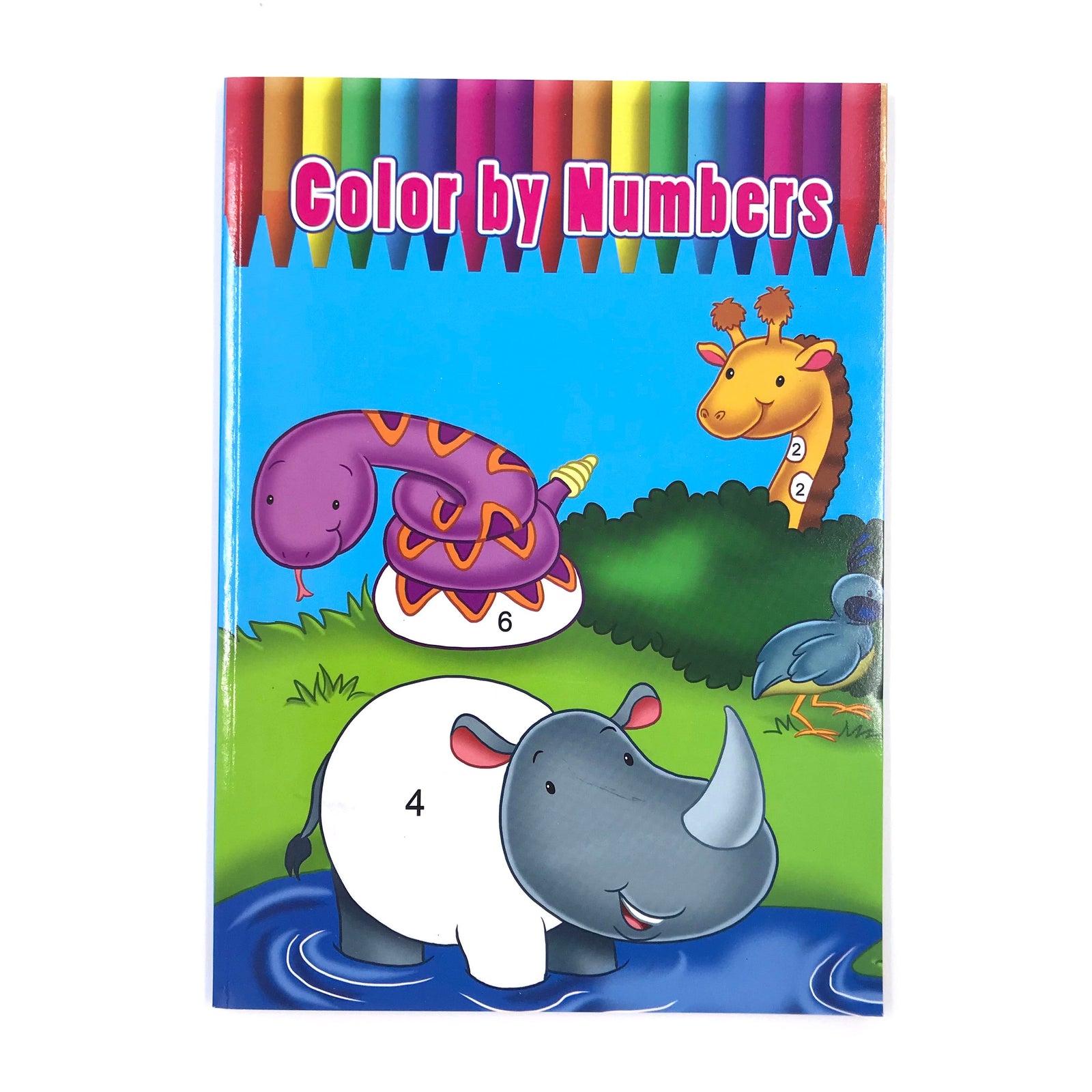 Vision St. Publishing Children Coloring & Activities Book