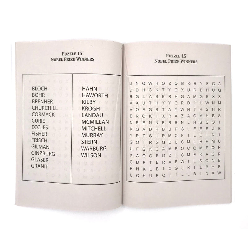 Vision St. Publishing Find a Word BIG PRINT Puzzle Book