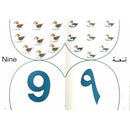 Lebanon Printing Press Learn Numbers with Words & Pictures Arabic/ English