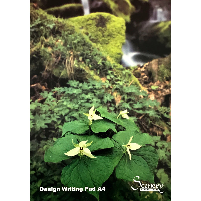 Sinarline Design Writing Flip Pad A4 - 50 Sheets