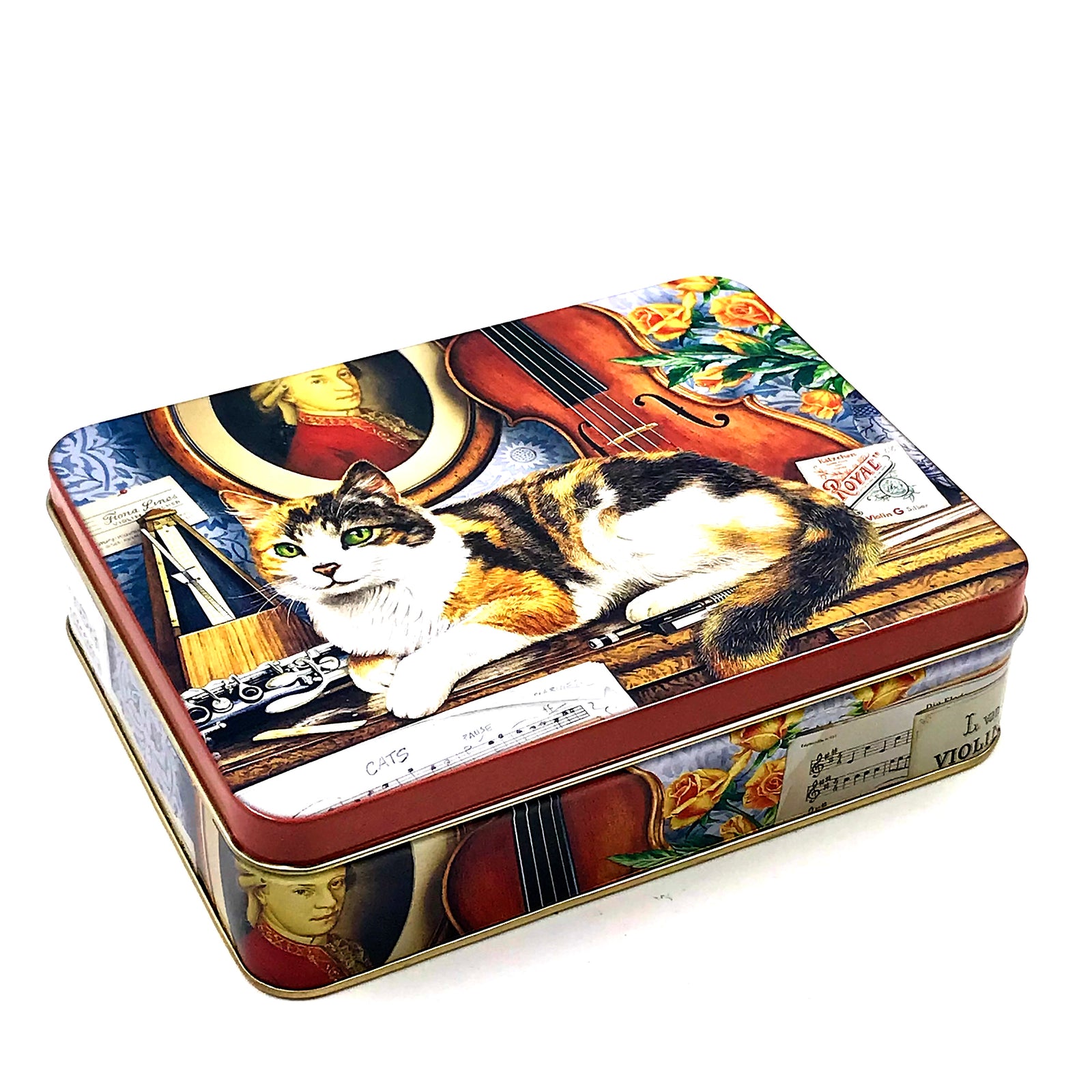 Elite Cat 17x13x4cm Tin Box