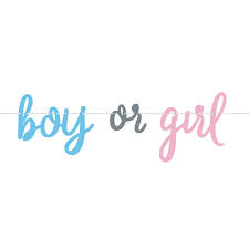 Unique Party Gender Reveal Boy or Girl