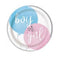 Unique Party Gender Reveal Boy or Girl