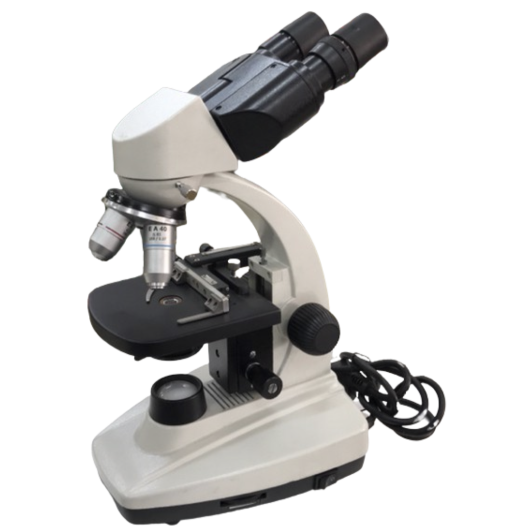 Transmitted Light Microscope  / Binocular