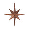 Vickerman Copper Glitter Bethlehem Star Christmas Tree Ornament - 4 Piece / 2 Colors
