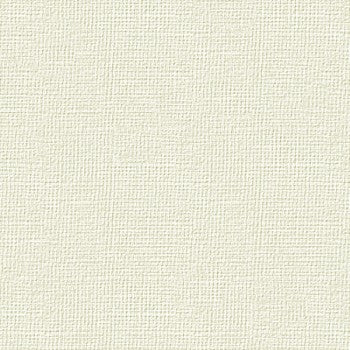 Favini Fine Paper Lino A4 120g - 100 Sheets