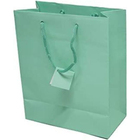 Eurowrap Medium Solid Colors Gift Bag 33x26x14 cm