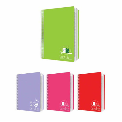 Bassile Freres Opaline A5 Spiral Notebook