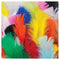 Pacon Marabou & Plume Feathers Short - Pack of 1 oz.